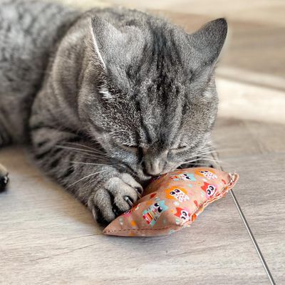 Aumüller Katzenspielzeug Baldriankissen Baldini