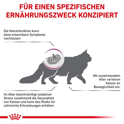 Royal Canin Veterinary Feline Early Renal