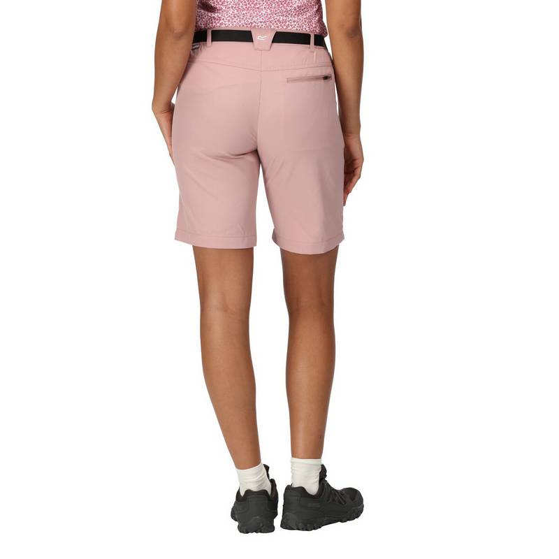 Regatta Xert It Shorts Damen