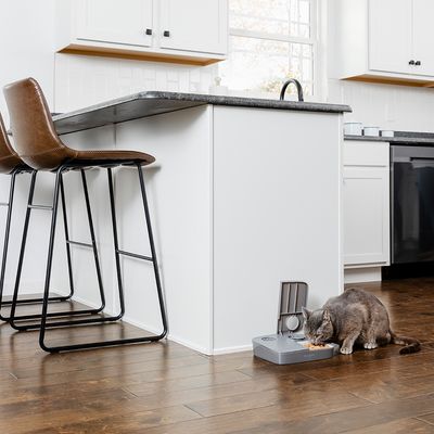 PetSafe® Futterautomat für 2 Mahlzeiten