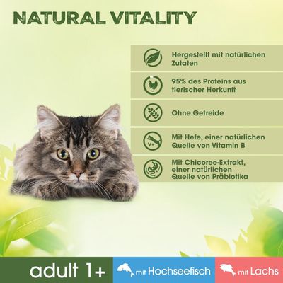 Perfect Fit Natural Vitality Adult 1+