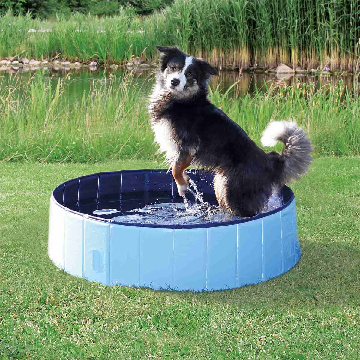 Trixie Hundepool hellblau günstig kaufen bei ZooRoyal