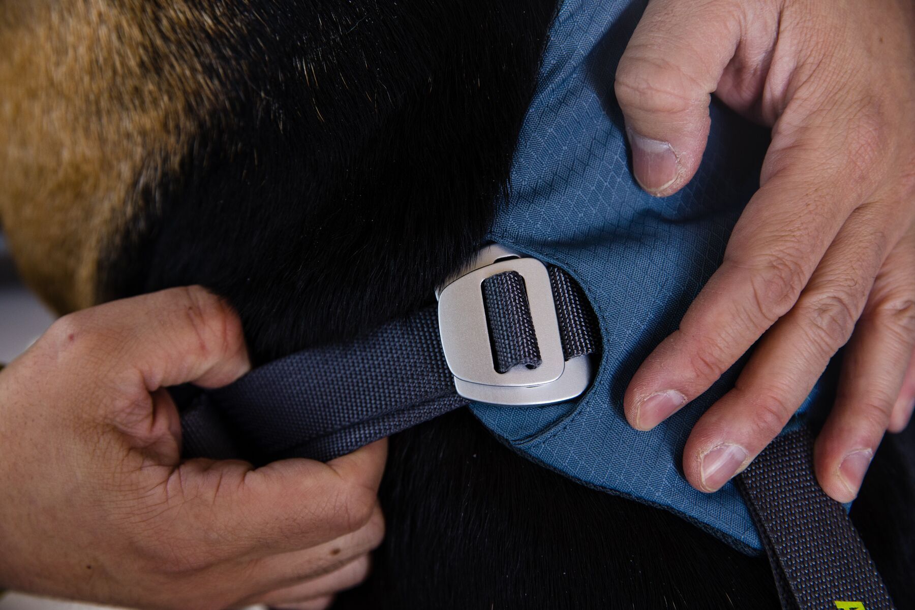 Ruffwear Autozubehör Ruffwear Auto-Sicherheitsgeschirr Load Up™ M