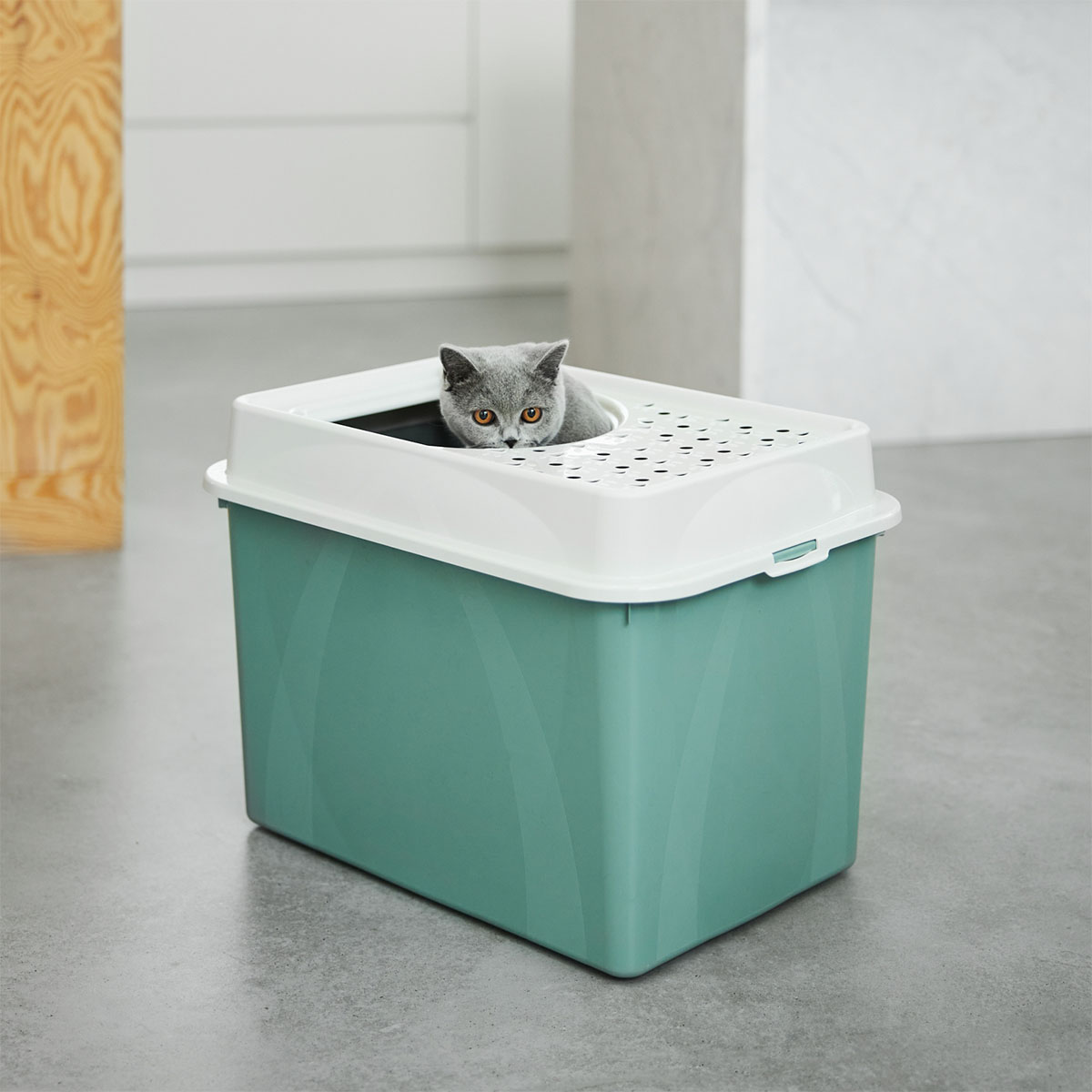 Rotho MyPet Katzentoilette Eco BERTY mistletoe green