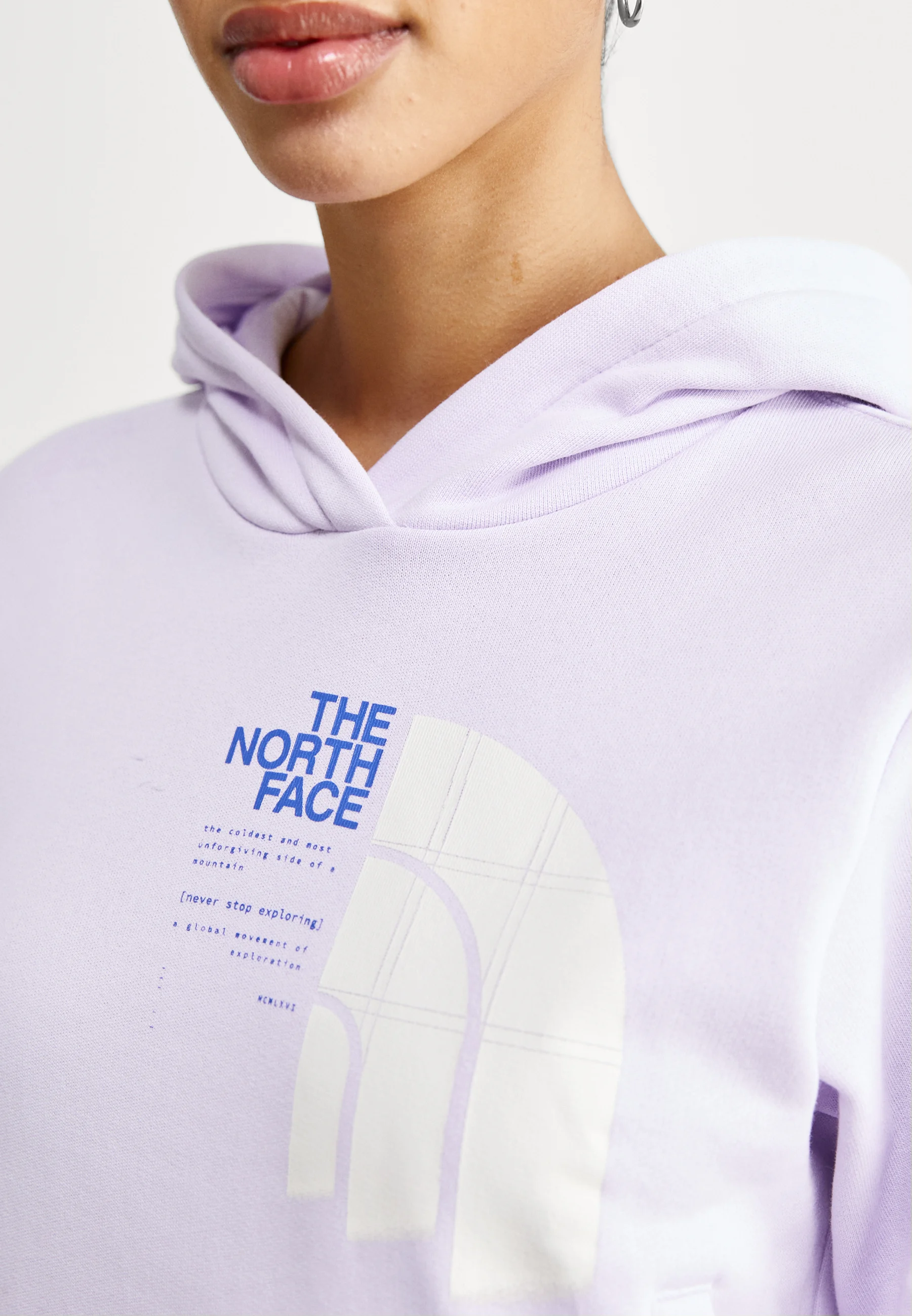Sudadera con capucha gráfica The North Face