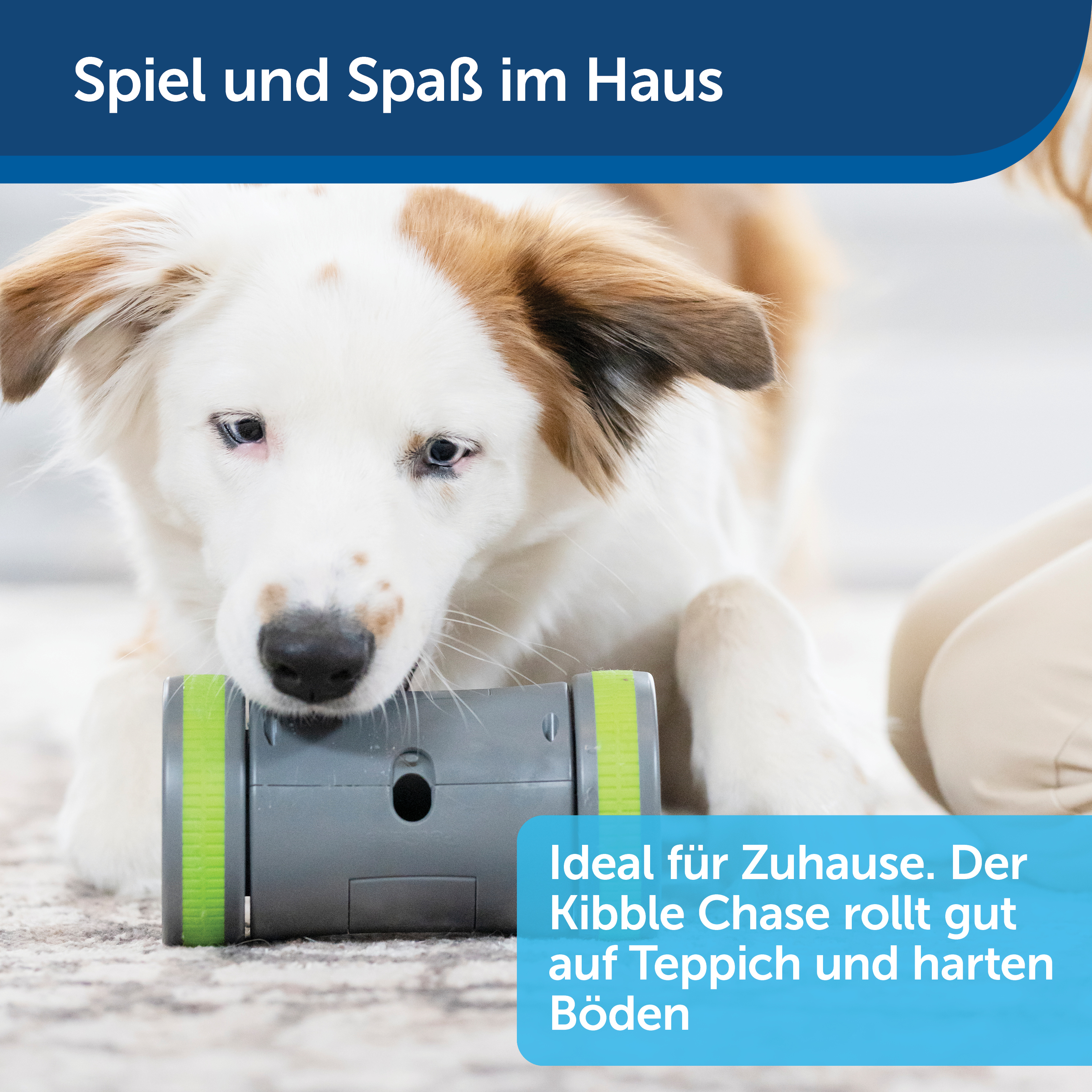 PetSafe Intelligenzspielzeug PetSafe Selbstbewegendes Belohnungsspielzeug Kibble Chase