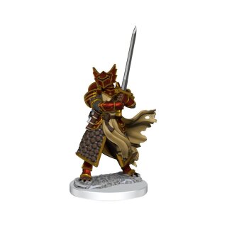 D&D Frameworks: Dragonborn Paladin Male