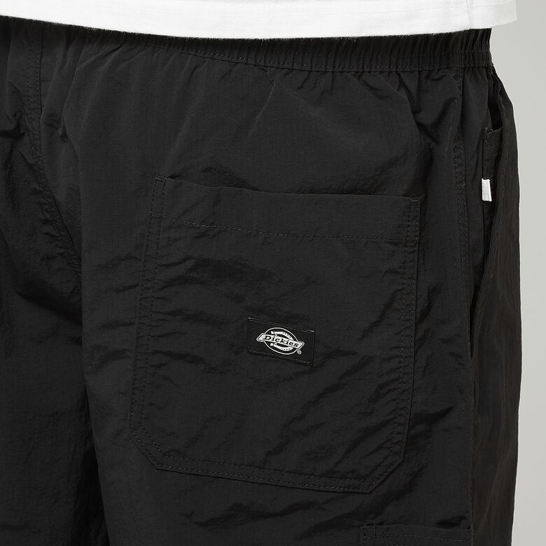 Dickies Texture Nylon Work Short black