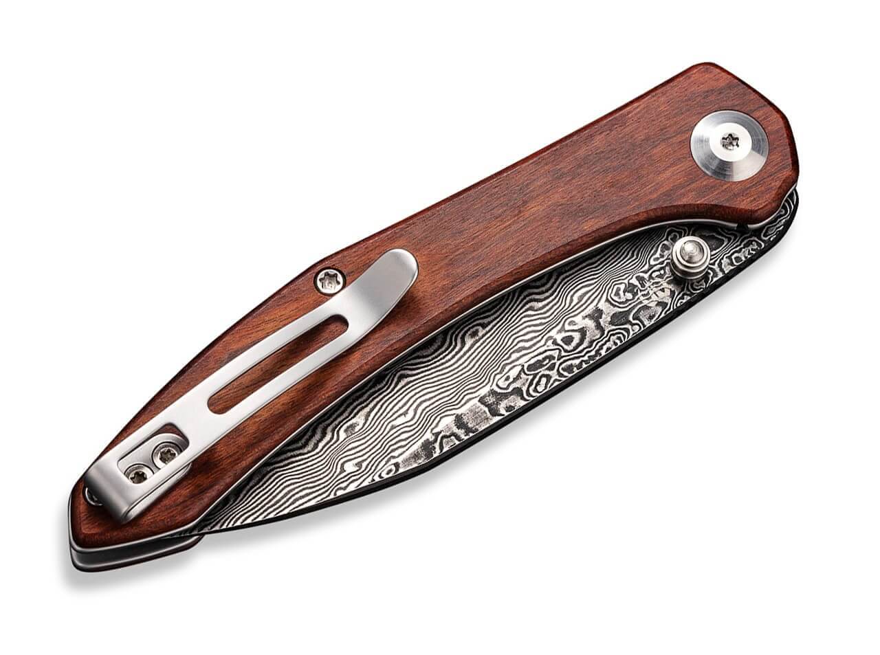 Hadros Cuibourtia Damascus