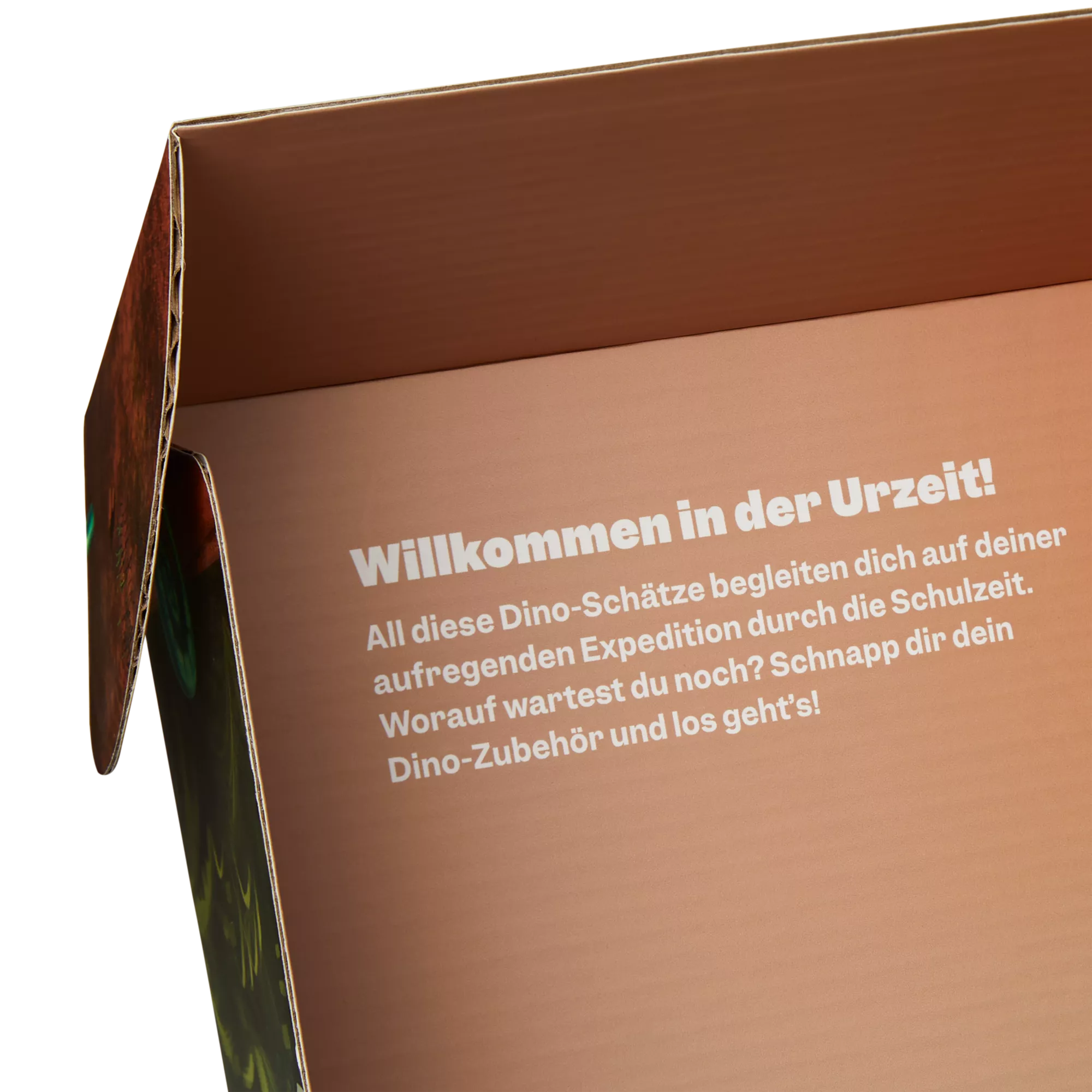 Ergobag Fan Box Dinosaurier