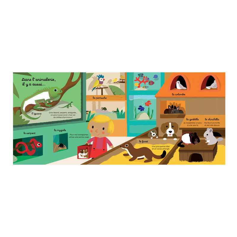 Livre Les animaux familiers - Milan Jeunesse