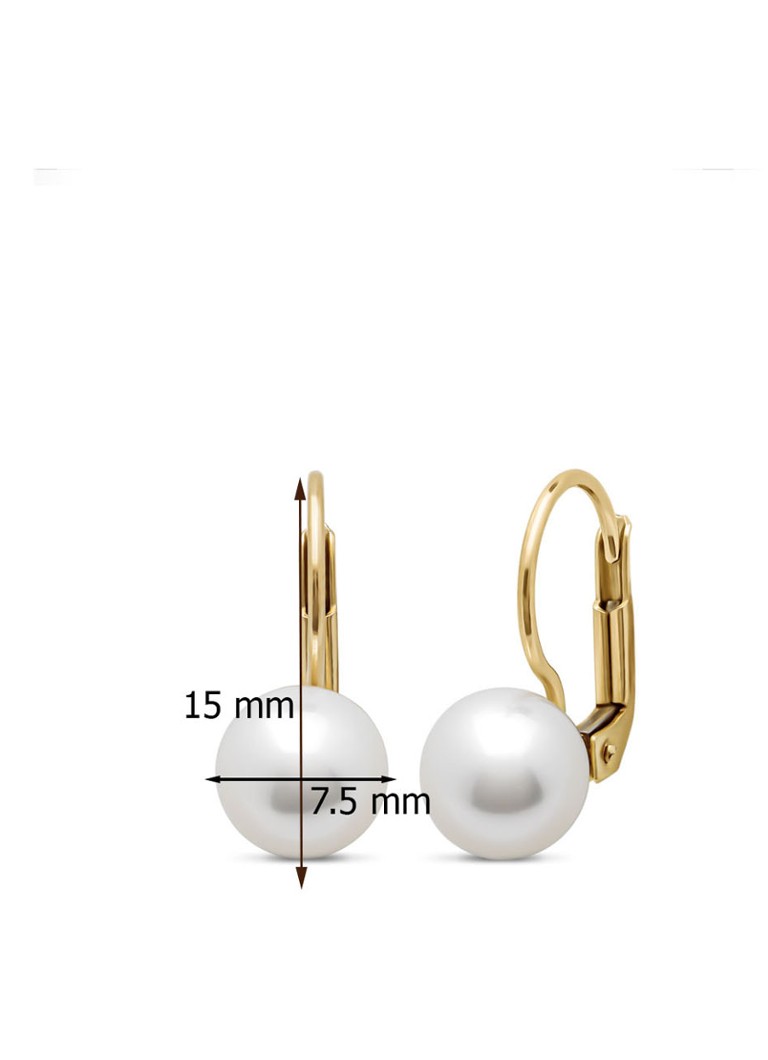 Diamond Point Yellow Gold Earrings Riviera