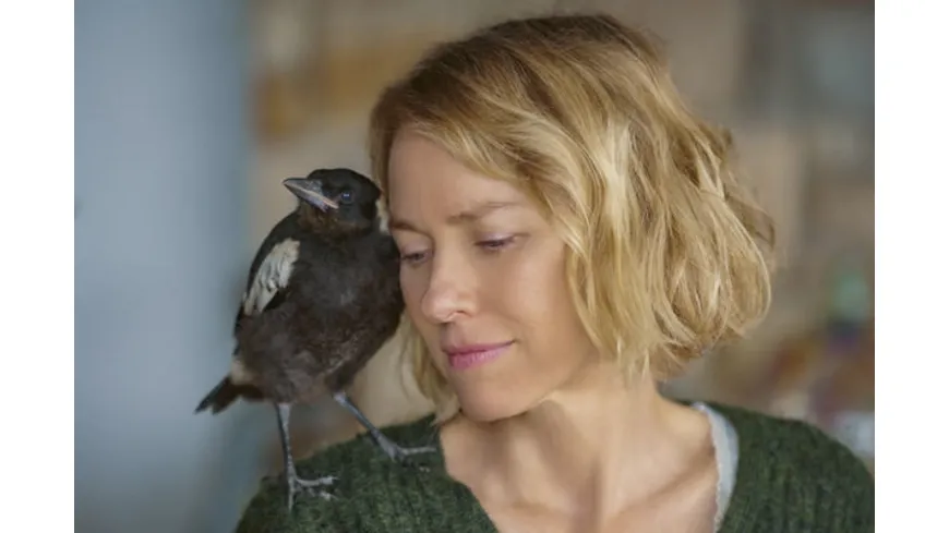 Beflügelt - Ein Vogel namens Penguin Bloom