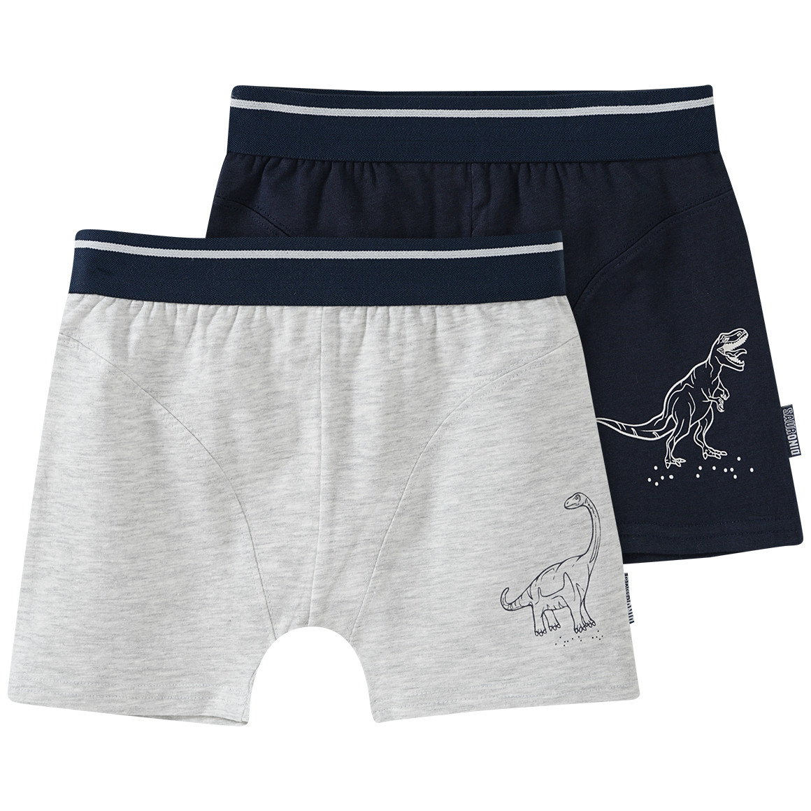2 Jungen Boxer mit Dino-Motiv