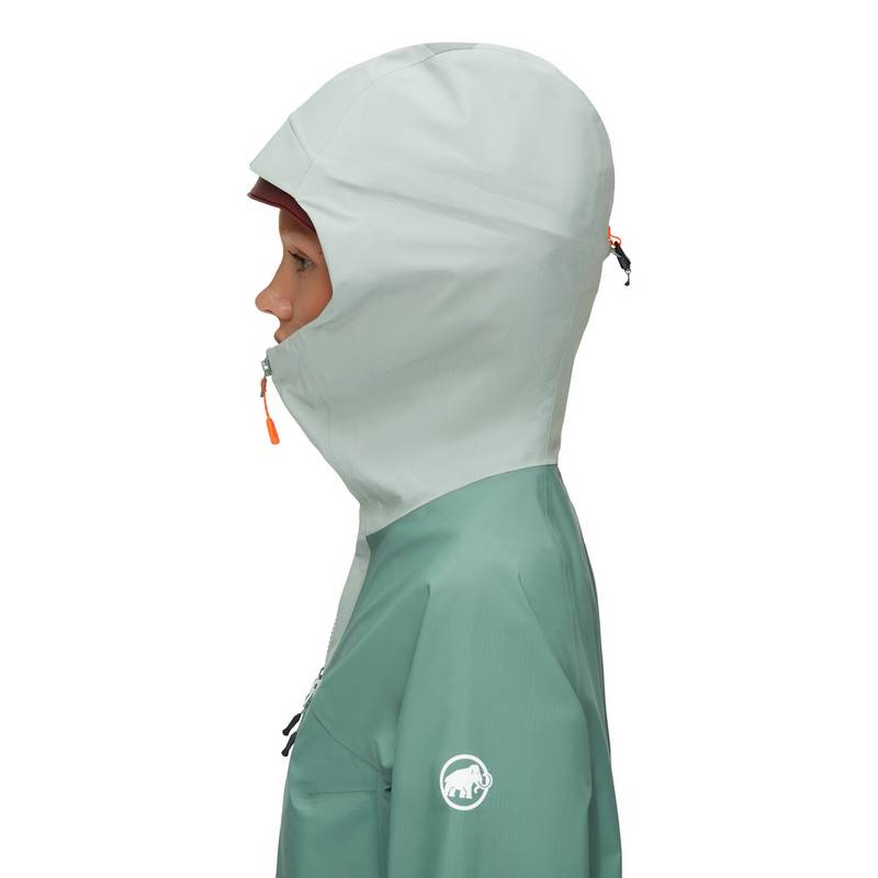 Mammut Taiss Hooded Hardshelljacke Damen