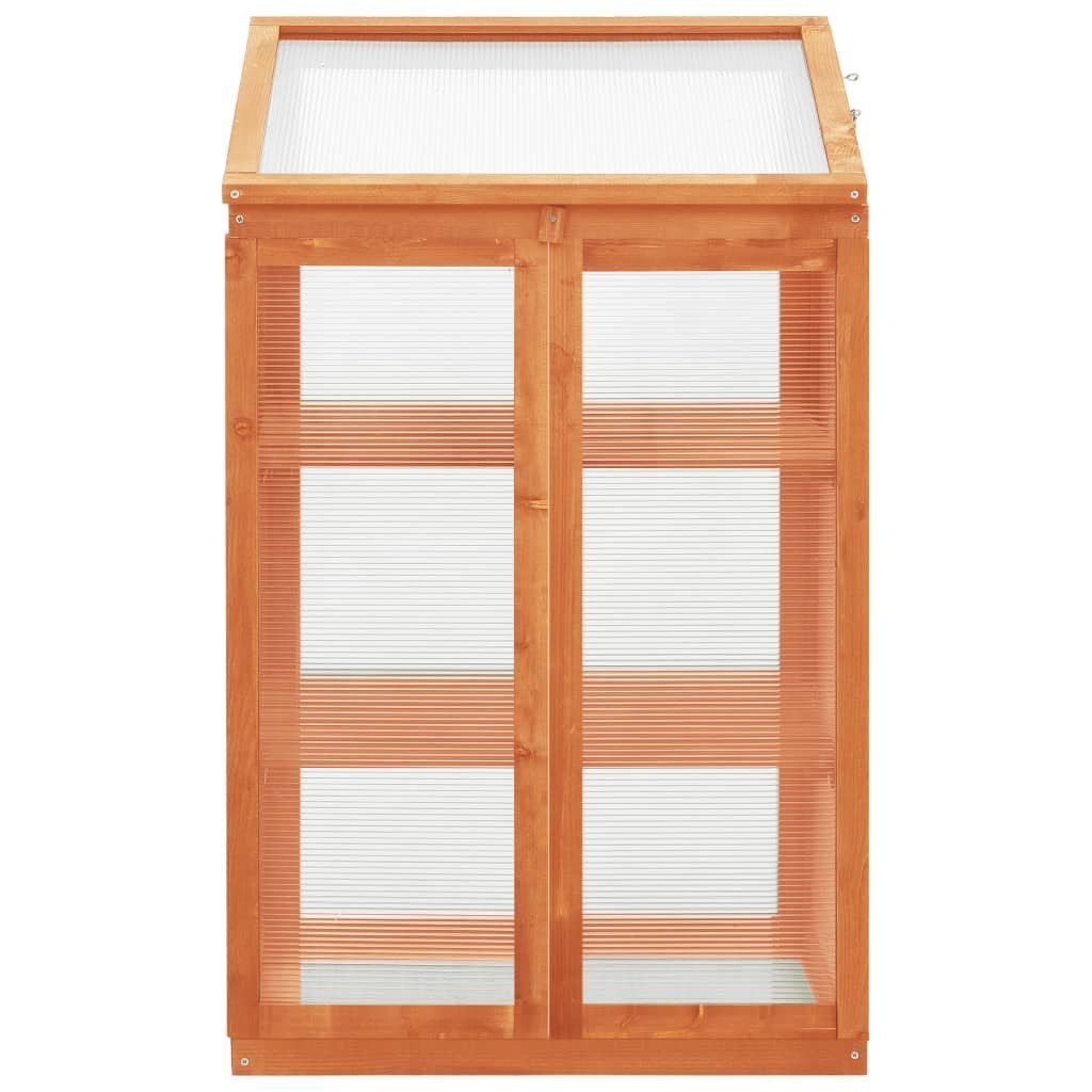 vidaXL Gewächshaus Gewächshaus 60x45x100 cm Tannenholz
