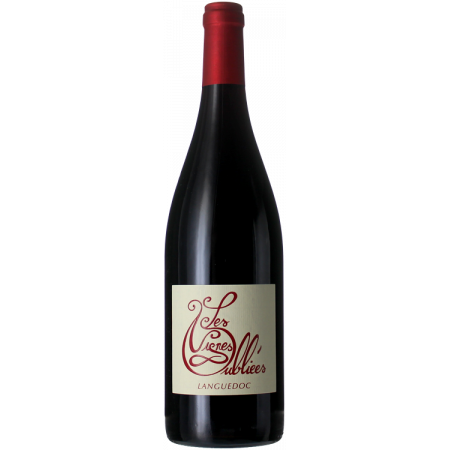 AUTOUR DE CINSAULT 2022 - LES VIGNES OUBLIEES - JEAN-BAPTISTE GRANIER