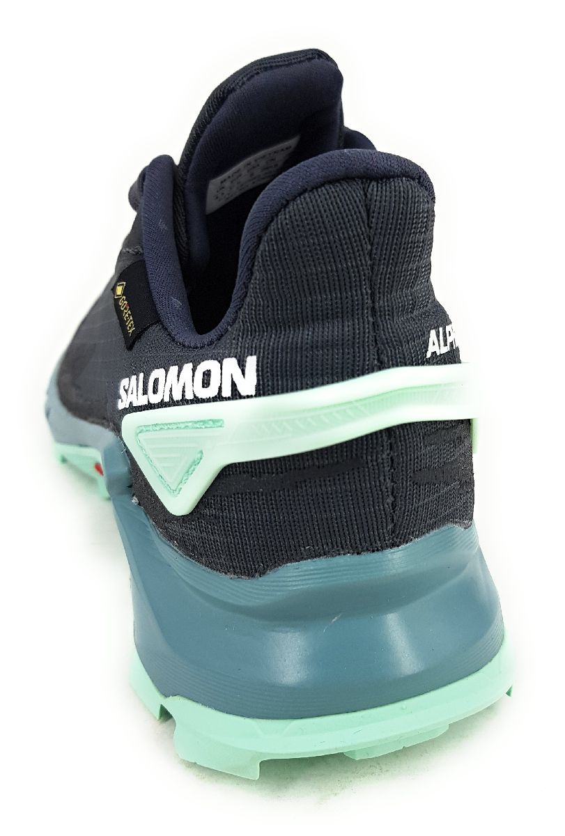 Salomon Alpha Cross 4GTX L47066800 Grau Ebony/Trellis/Yucca