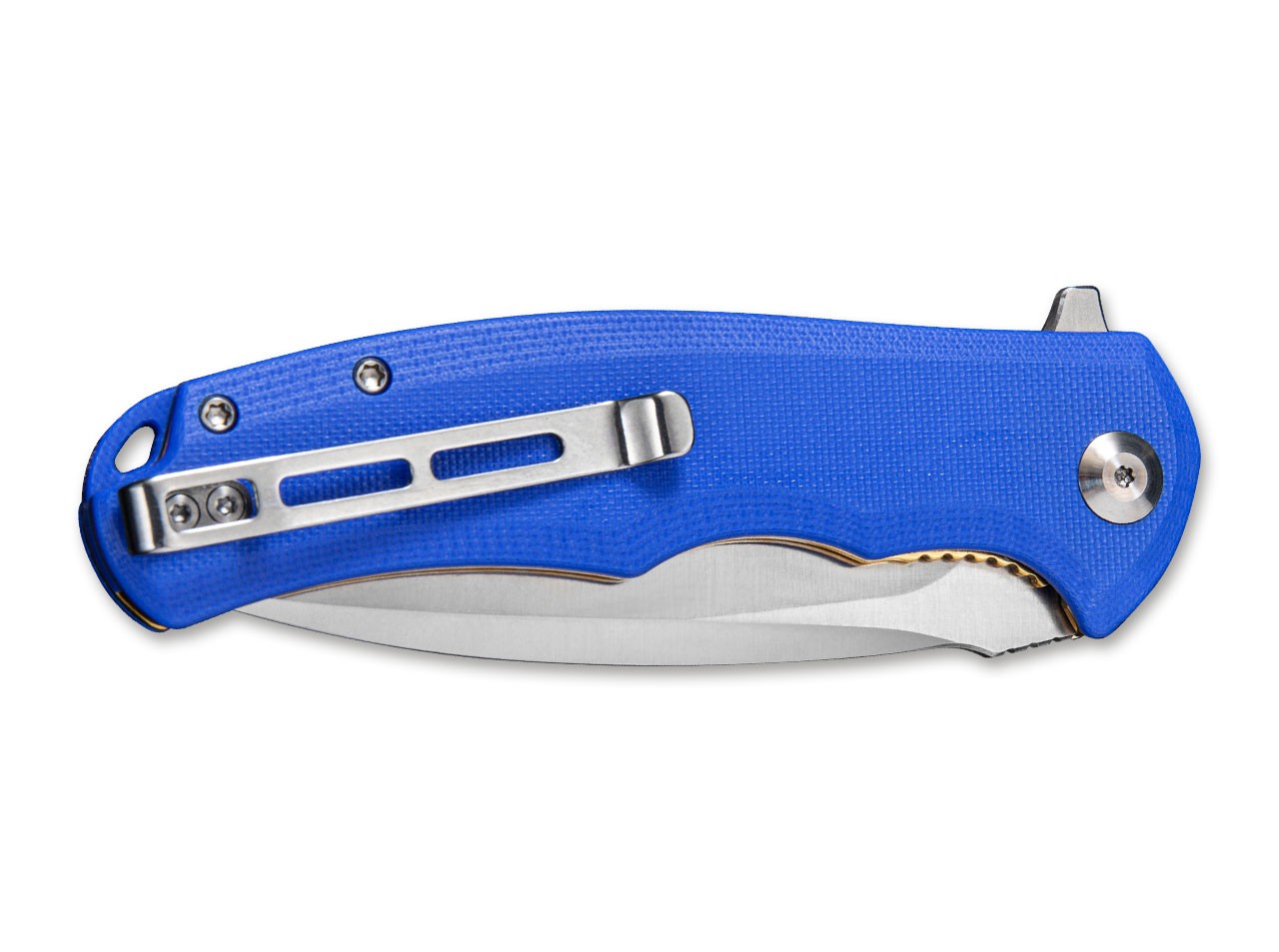Praxis Blue