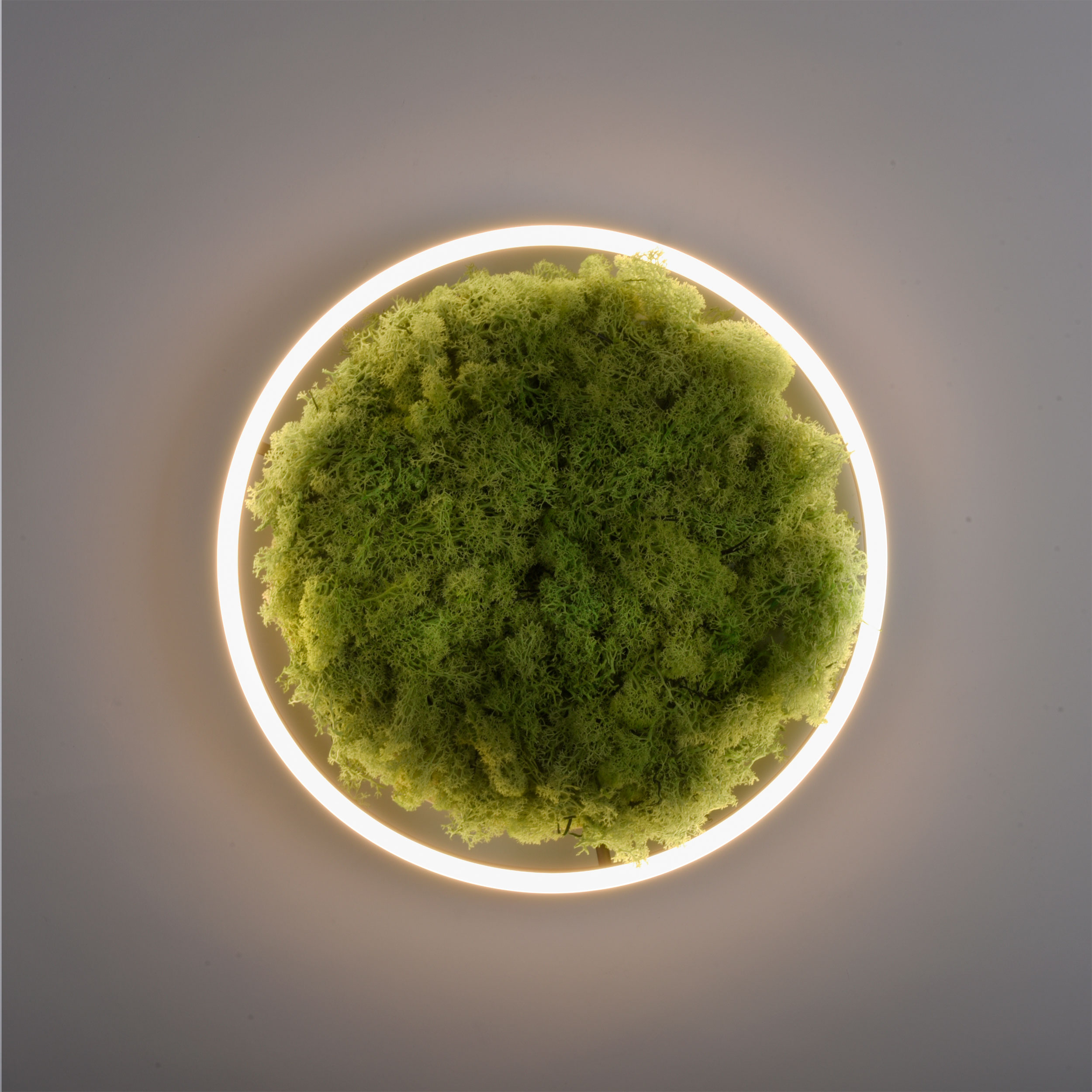 JUST LIGHT.LED-Deckenleuchte 1flg