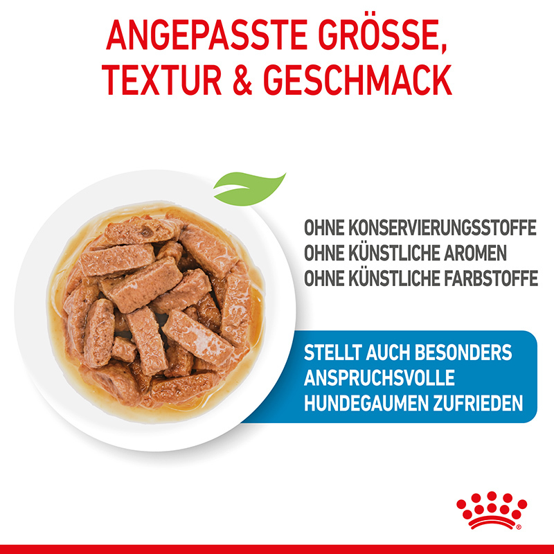 ROYAL CANIN Hundenassfutter ROYAL CANIN Maxi Puppy 10x140g