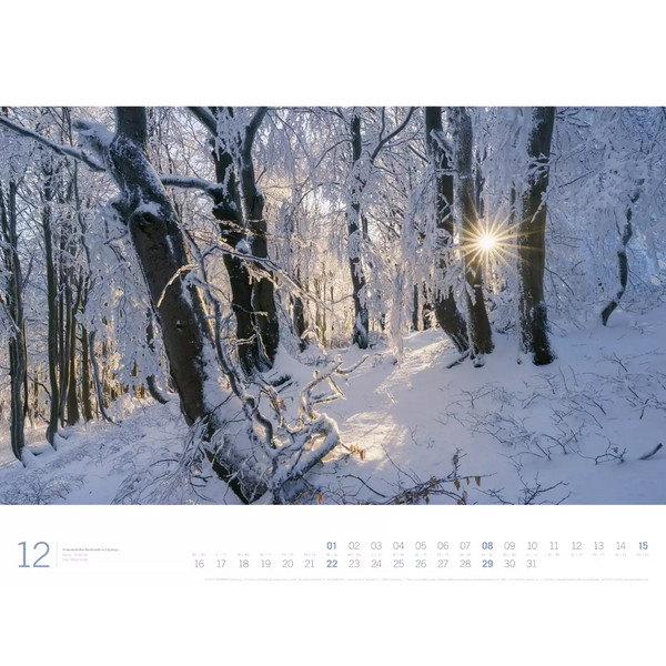 WALD - ACKERMANN GALLERY KALENDER 2024 - Kalender