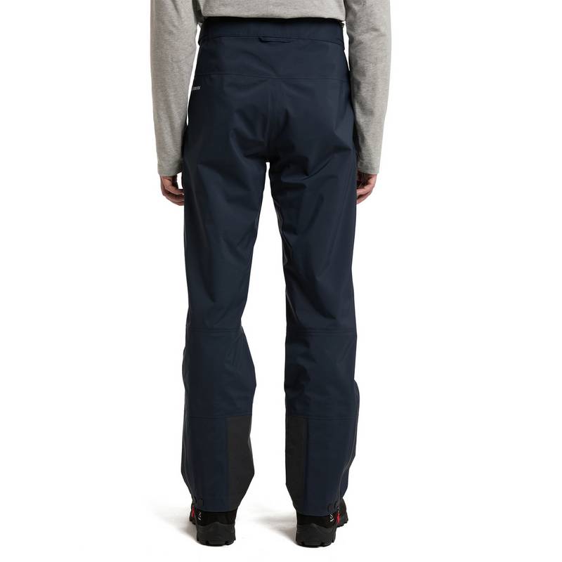 Haglfs Roc GTX Pant Funktionshose Herren