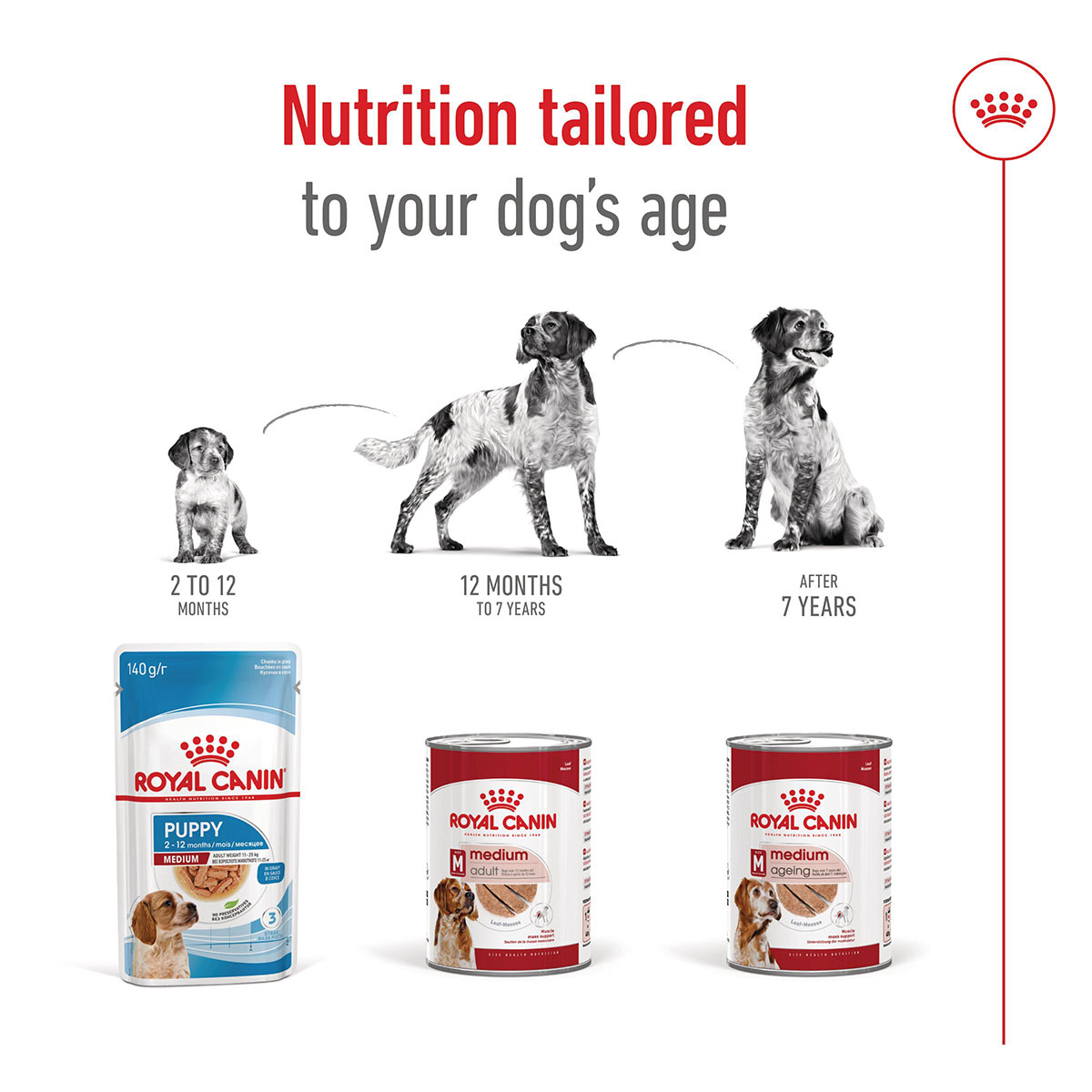 Royal Canin SHN Medium Ageing Loaf Can kaufen bei ZooRoyal