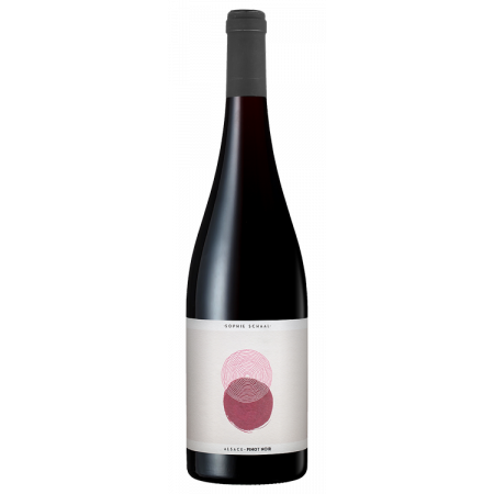 PINOT NOIR 2022 - SOPHIE SCHAAL