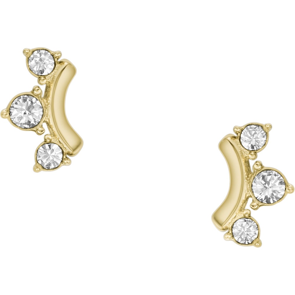 Fossil Boucles d'oreilles à fermoir à poussette Acier inoxydable Boucles d'oreilles