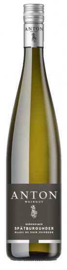 2021 Herxheimer Spätburgunder Blanc de Noir feinherb - Weingut Anton