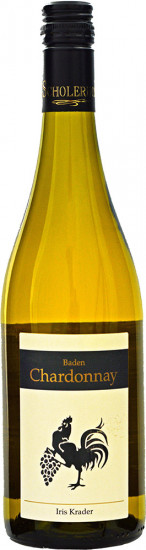 2020 Castellberg Chardonnay Kabinett trocken - Weinbau Scholerhof