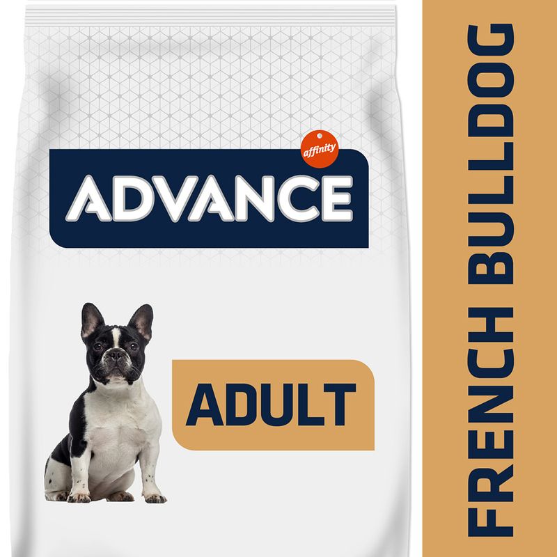 Advance French Bulldog mit Ente
