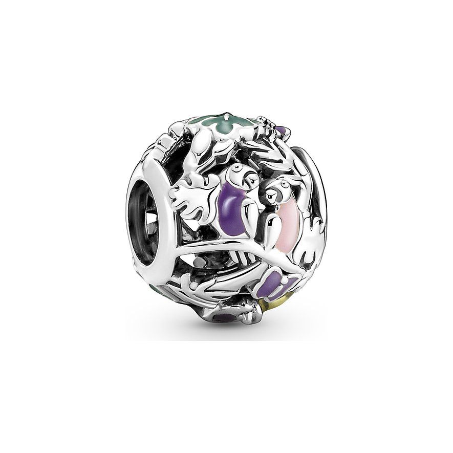 Pandora Charm Moments