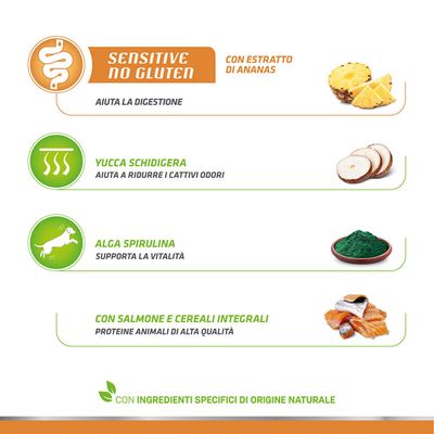 Natural Trainer Sensitive No Gluten Adult Small mit Lachs