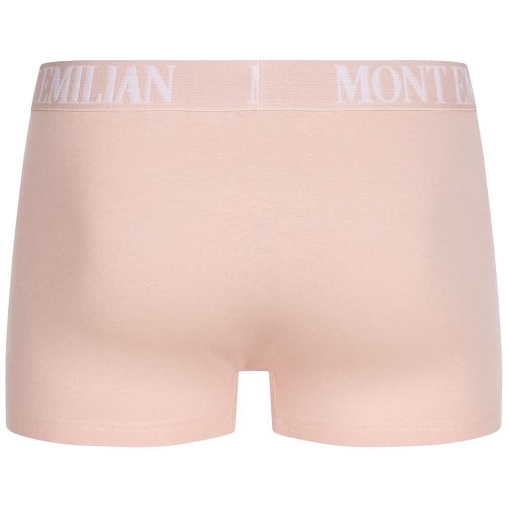 MONT EMILIAN 