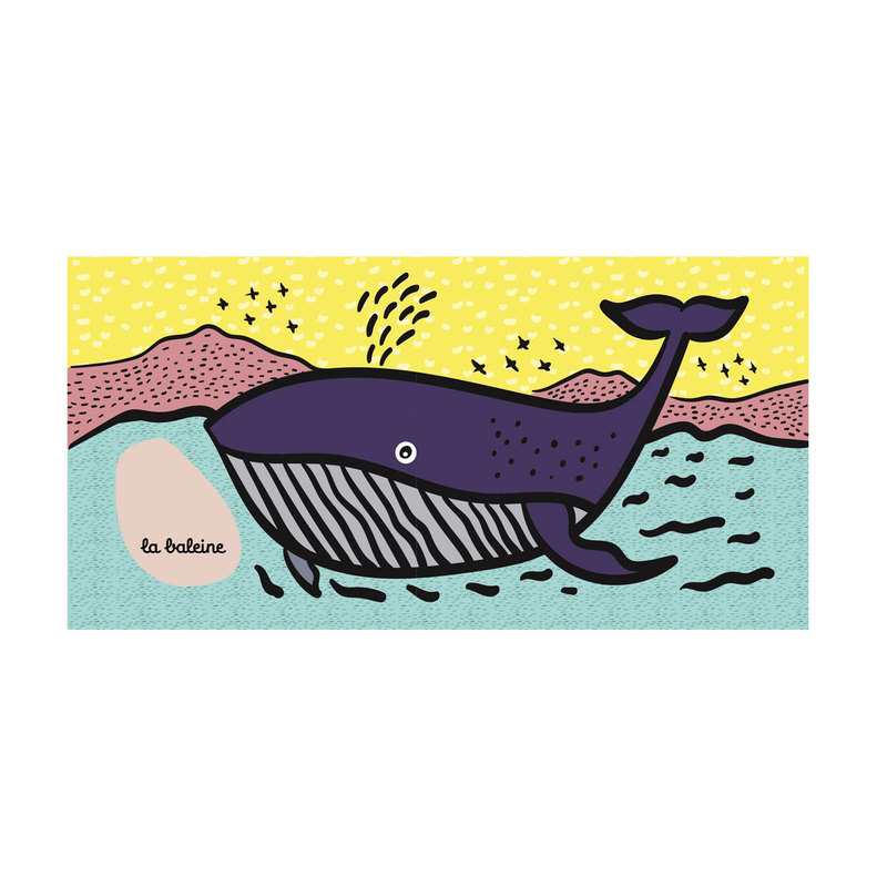 Livre Petite tortue et ses amis - Casterman