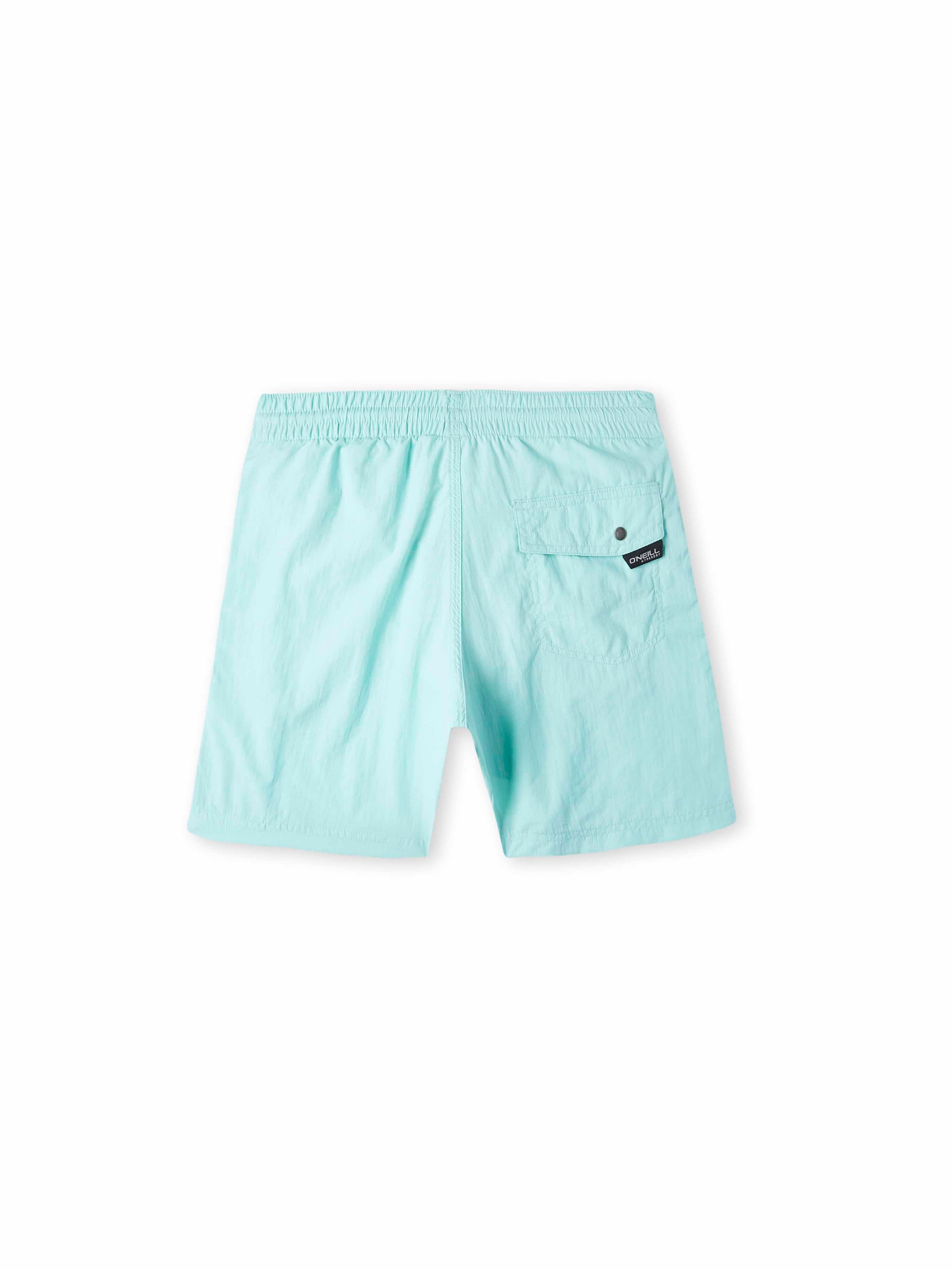 Board Shorts 'Vert'