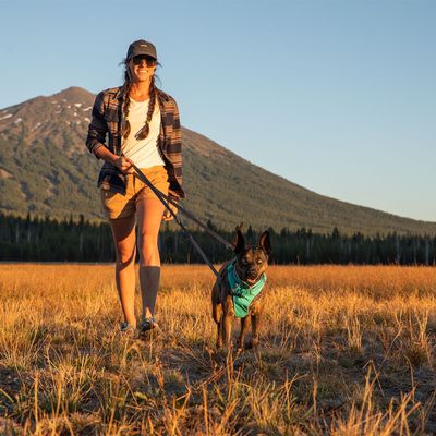 Ruffwear Front Range Hundegeschirr, Aurora Teal
