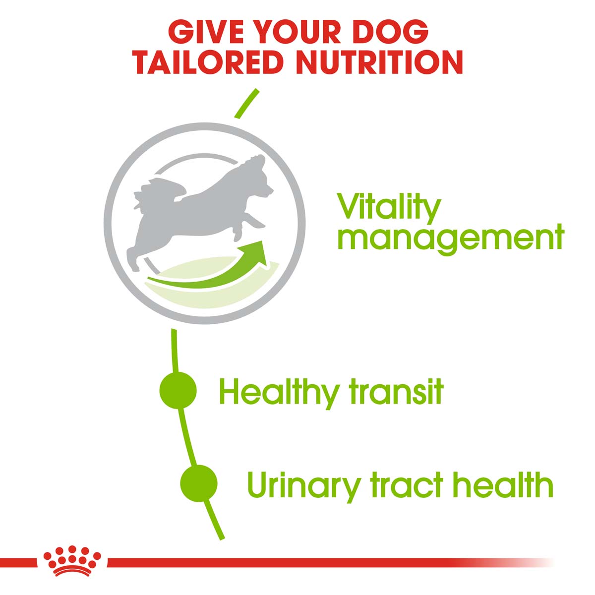 ROYAL CANIN X-SMALL Adult 8+ Trockenfutter für ältere sehr kleine Hunde