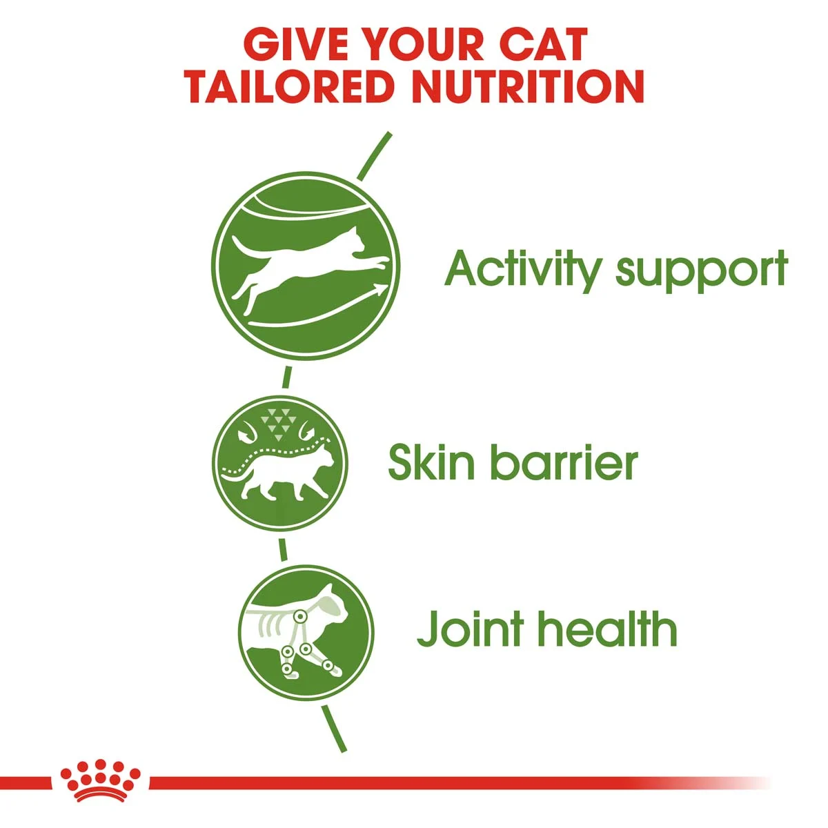 ROYAL CANIN OUTDOOR Trockenfutter 2kg + Digest Sensitive Nassfutter 12x85g
