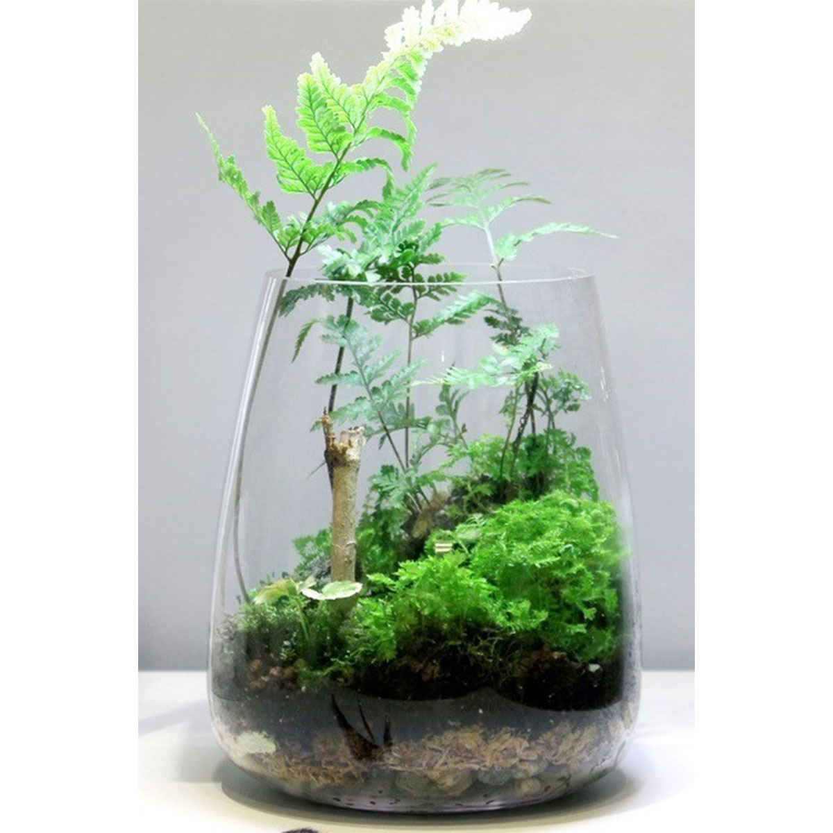 ONF Moss Micro Landscape Set günstig kaufen