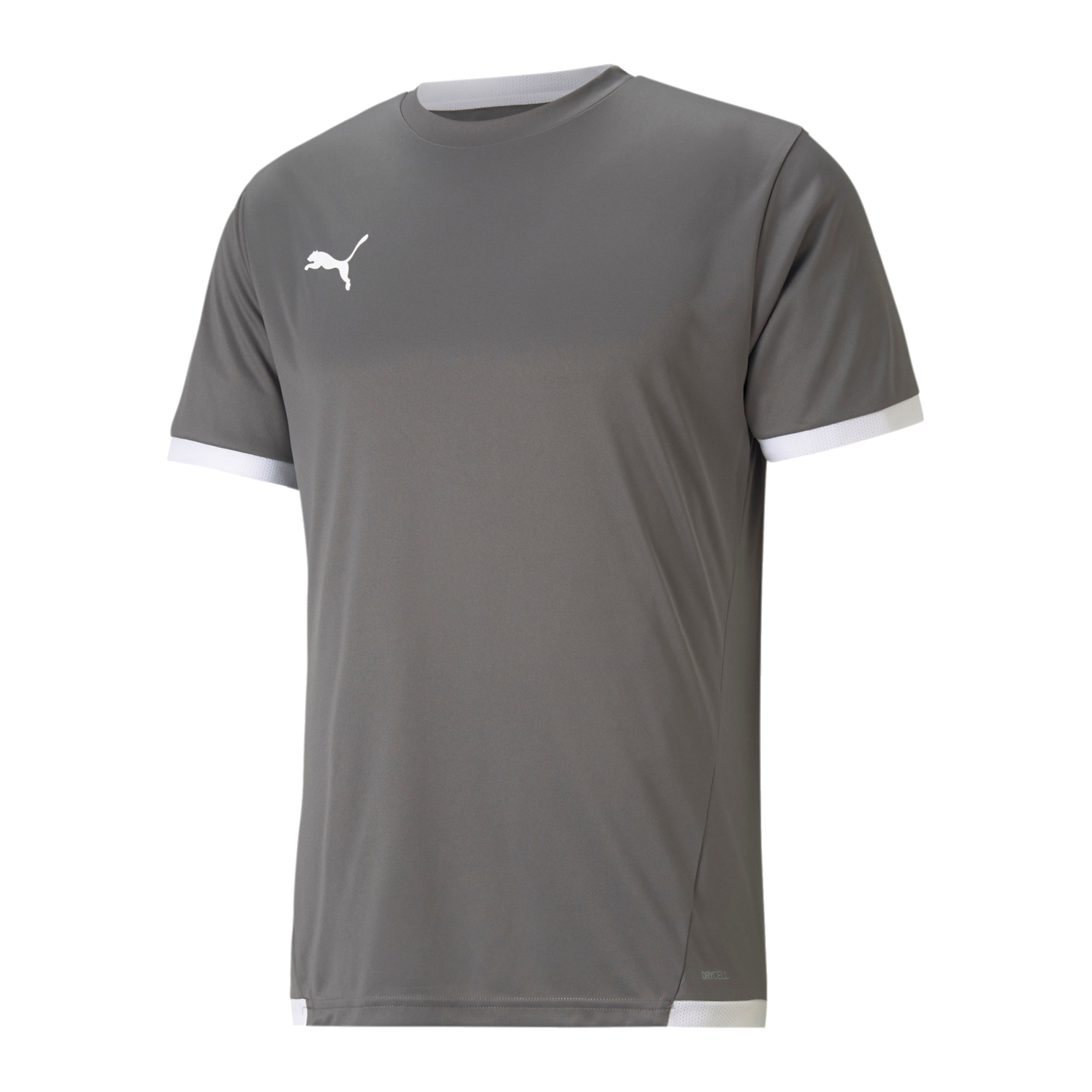 PUMA teamLIGA Trikot Grau F13