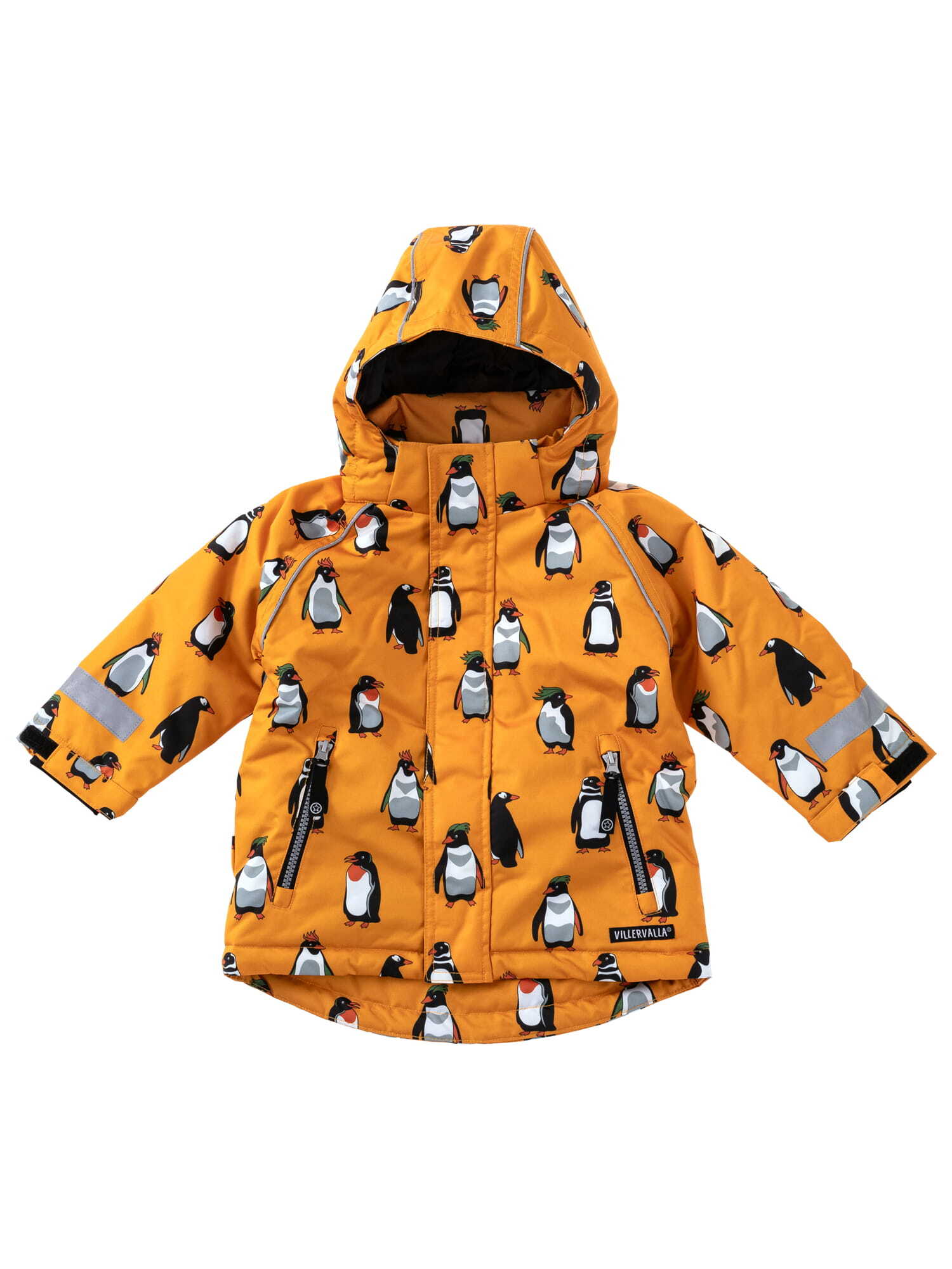 Winter Jacket
