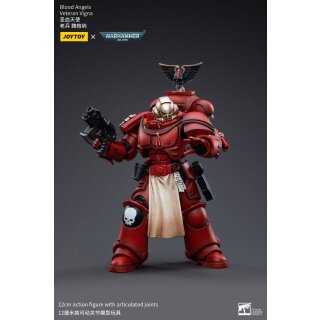 Warhammer 40k Actionfigur: Blood Angels Veteran Vigna
