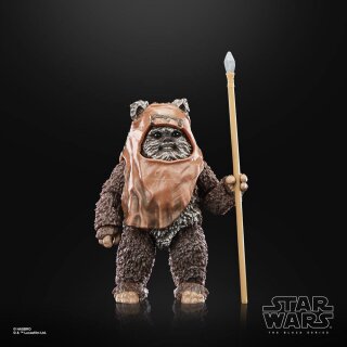Star Wars Episode VI 40th Anniversary Black Series Actionfigur Wicket 15 cm