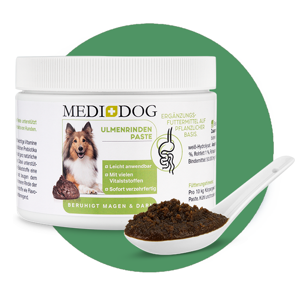 MediDog Ergänzungsfutter & Aufzucht MediDog Ulmenrinde Paste