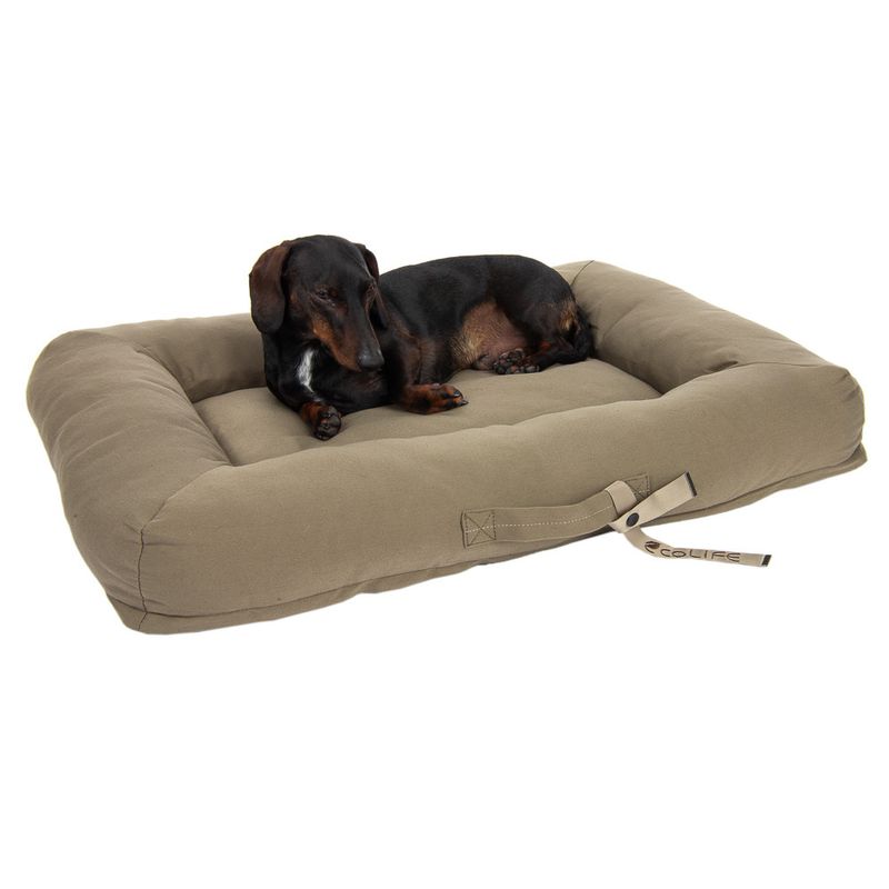 Modern Living Hundebett Toronto ecoLIFE zu TOP-Preisen | bitiba %