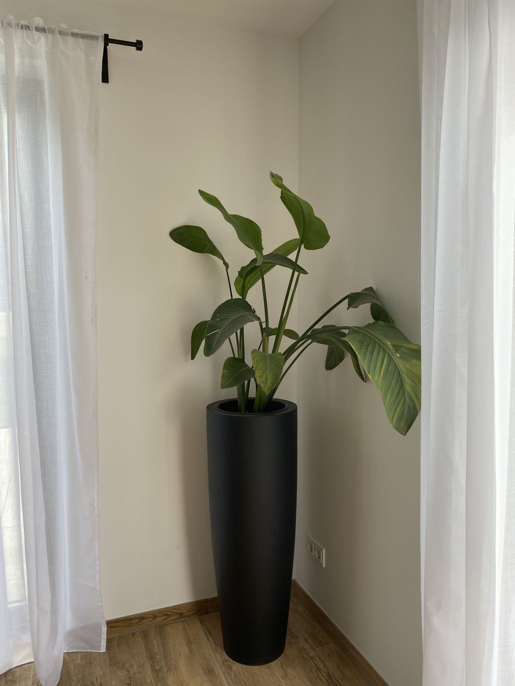 VIVANNO Pflanzkübel Pflanzkübel Pflanzgefäß Fiberglas PILA Schwarz - 37x100 cm