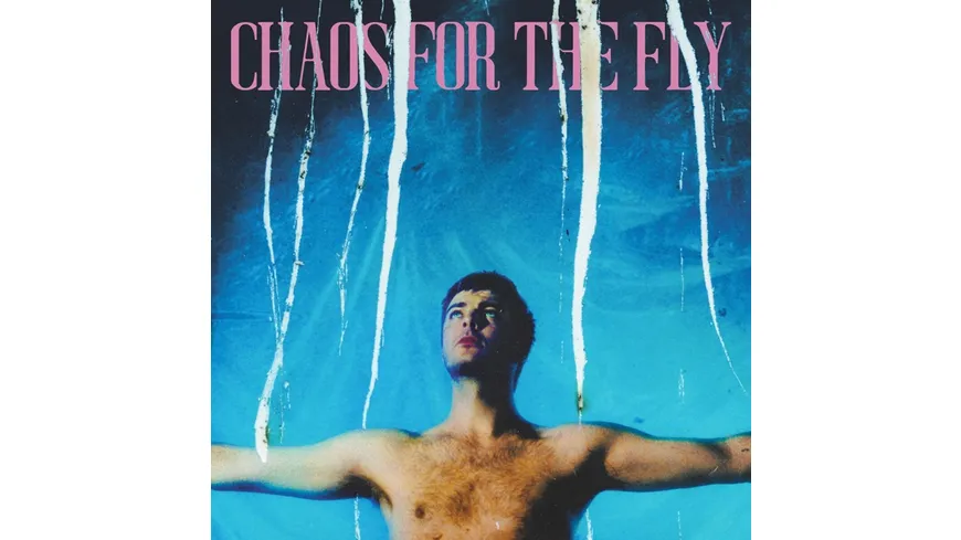 Chaos For The Fly
